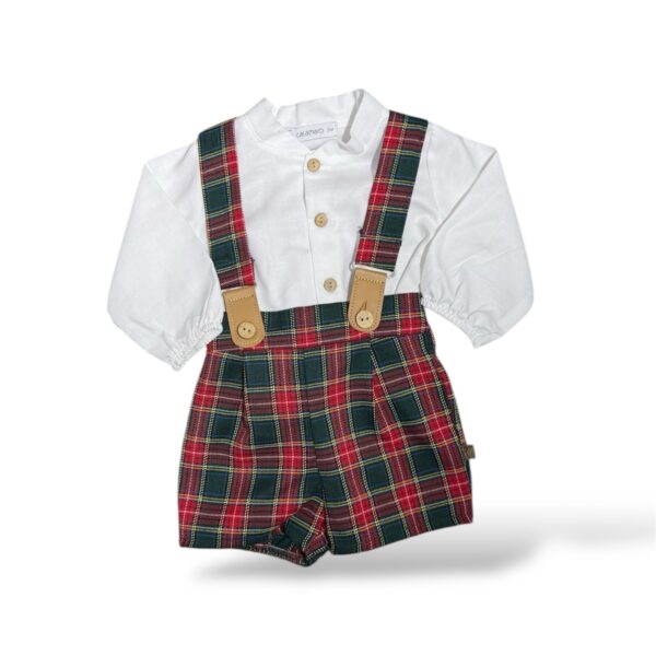 Completo scozzese calamaro