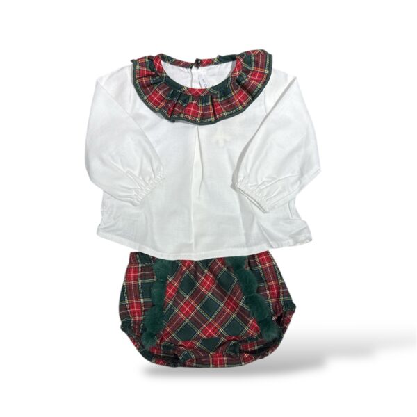 Completino scozzese Calamaro